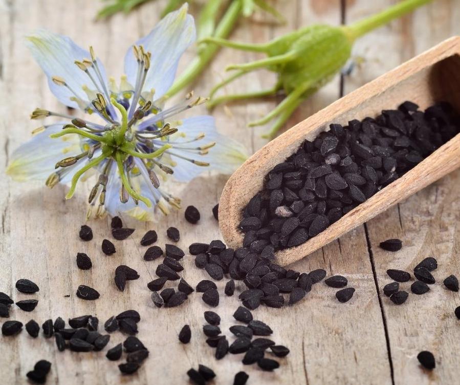 Black Seed Oil